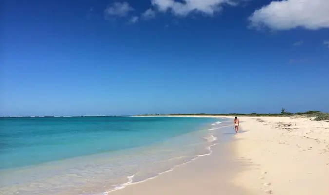 a beach in the Virgin islands