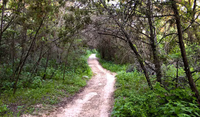 A trail on the Barton Creek Greenbelt in Austin