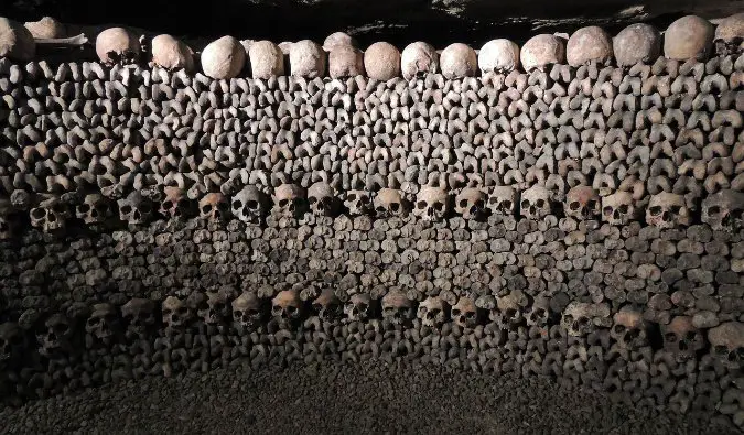 Bones piled high in the Paris catacombs