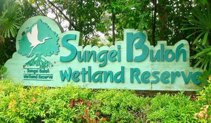The Sungei Buloh Wetland Reserve in Singapore