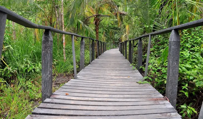 A wooden boardwalk through the jungles and beaches of Cahuita, Costa Rica