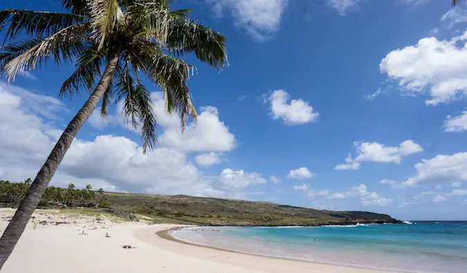 remote beach on Easter Island, with a palm tree and white sand