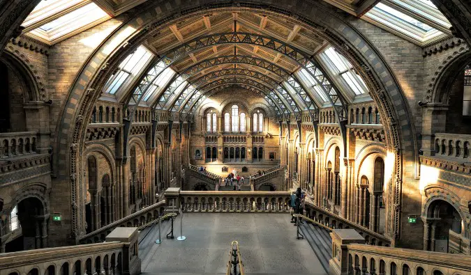 Inside the London Natural History Museum