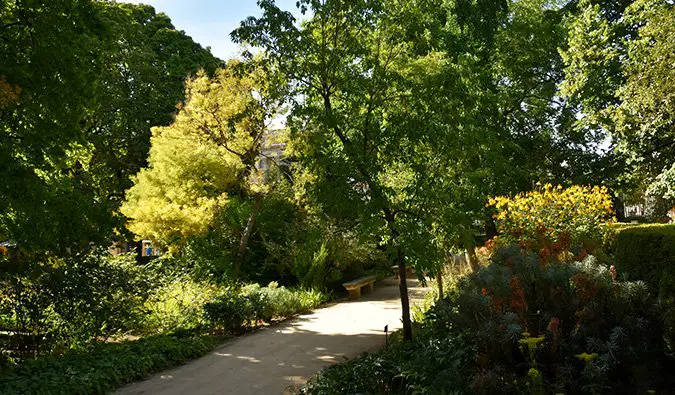 madrid%image_alt%27s beautiful botanical gardens (flickr: @prof_richard)