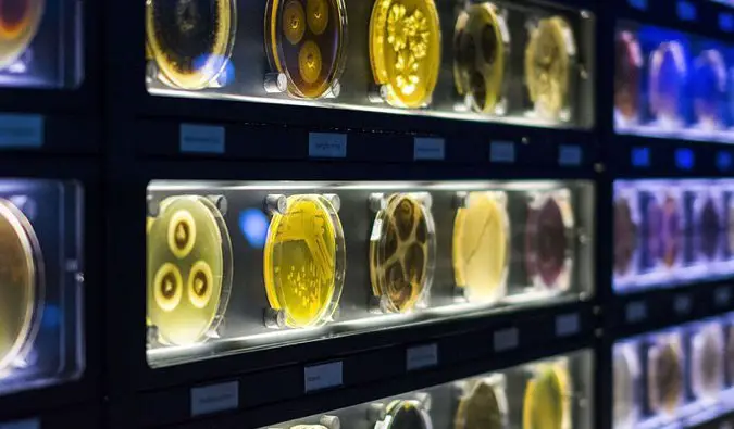 microbes and bacteria up close at Micropia in Amsterdam