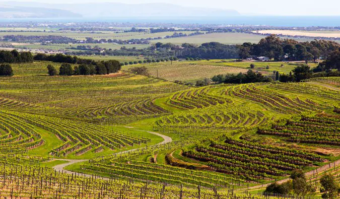 australia wine country