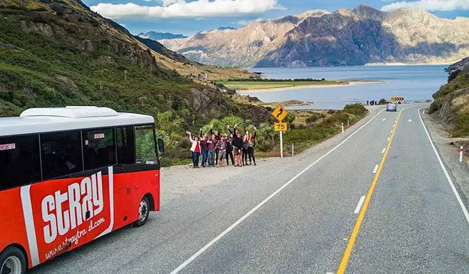 Stray Bus, New Zealand