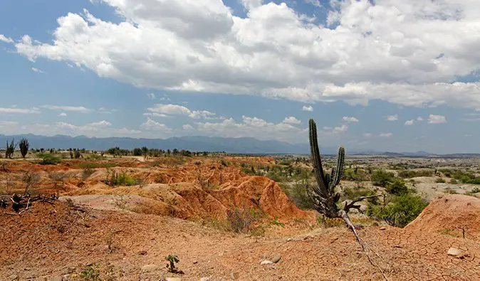 a cactus and bright red sand in Tatacoa Desert; photo by descubriendoelmundo (flickr:@descubriendo-el-mundo