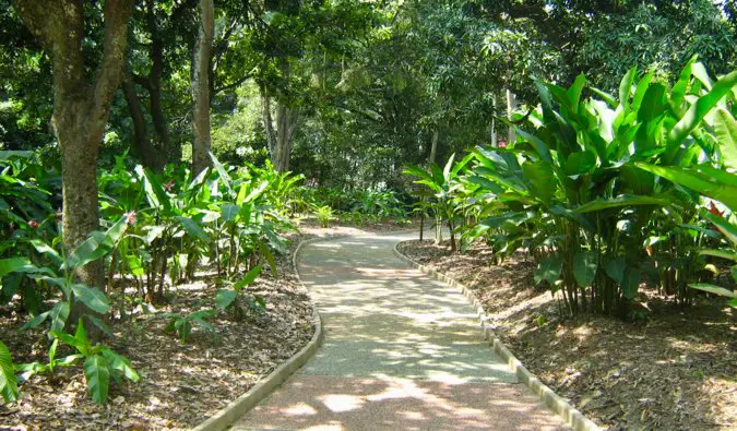 An empty path in the botanical gardens in Medellin, Colombia