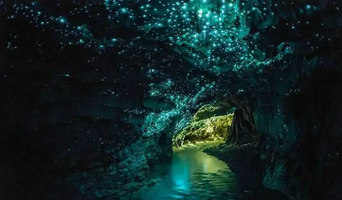 Magical view of the Waitomo glow worm cave